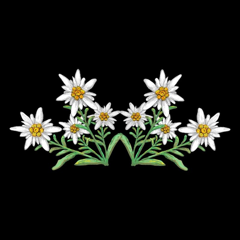 Edelweiss