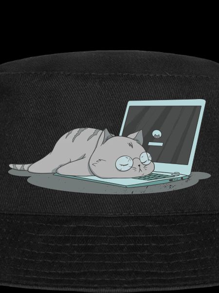 Sleeping cat home office