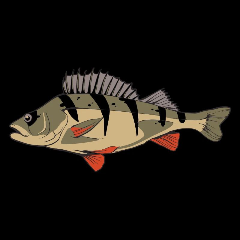 Perch perch perch perch fishing Kretzer