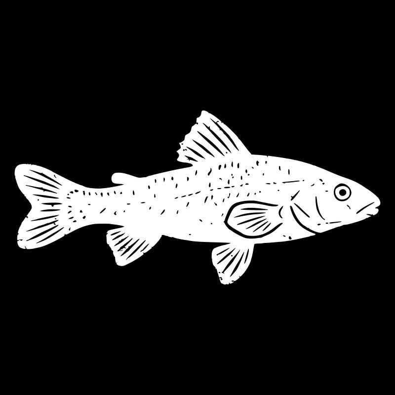 Grayling Fish Angler Nature Vector