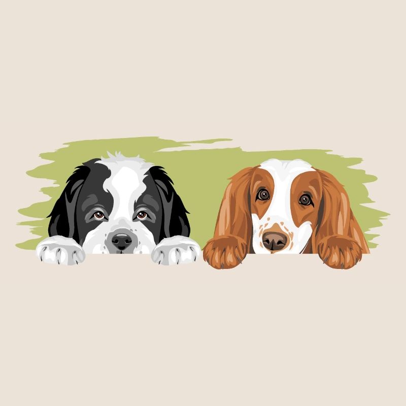 Bernhardiner und Cocker Spaniel sind beste Freunde