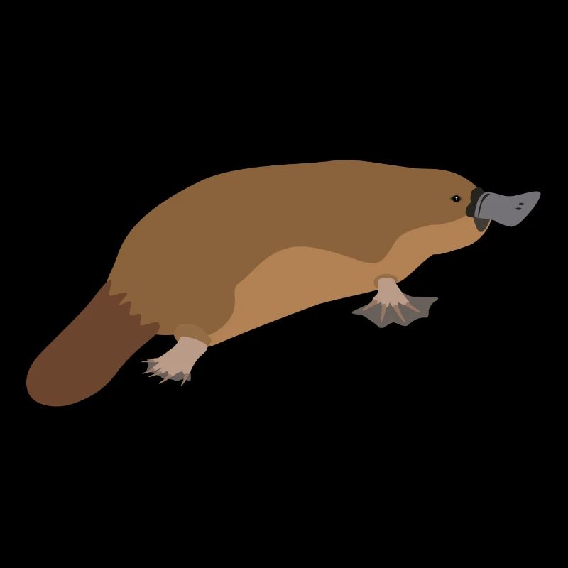 Schnabeltier - Platypus