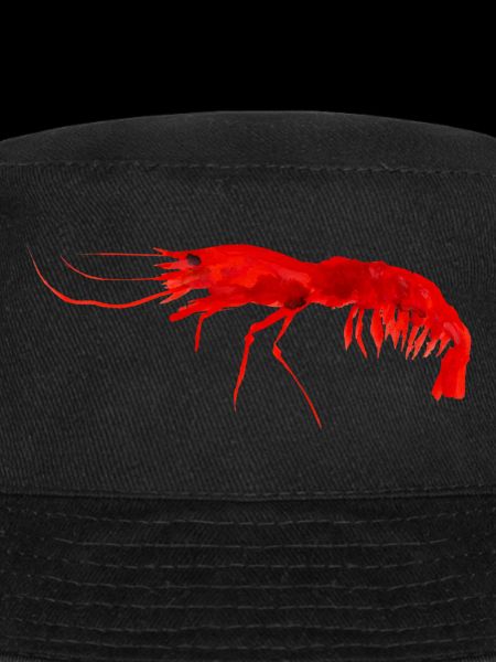 Prawn