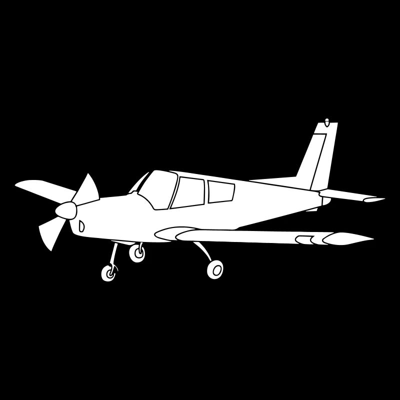 Airplane pilot aviator powered aircraft powered pilot