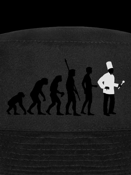 evolution_koch_2c