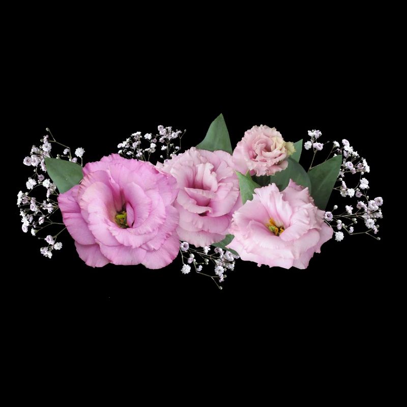 Blumen Rosa
