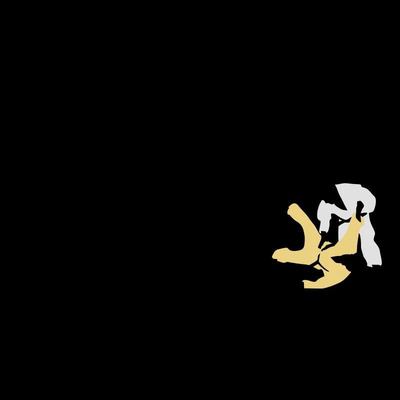evolution_judo_a_3c