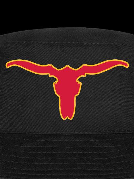 longhorns 2c