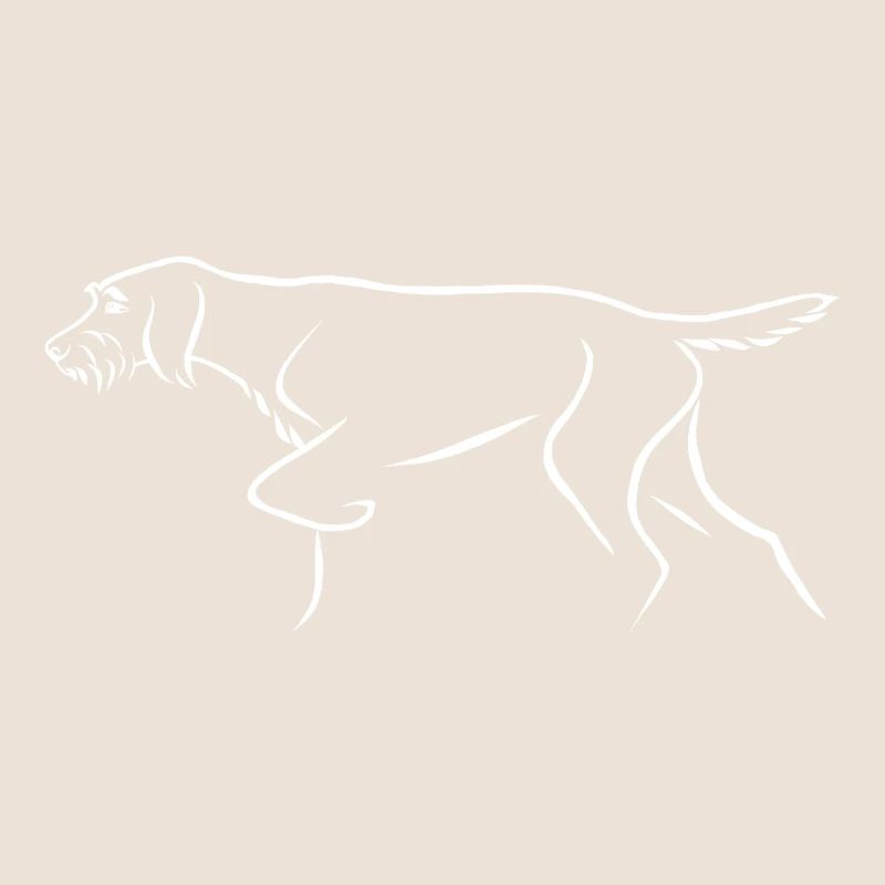 Wire-haired pointer