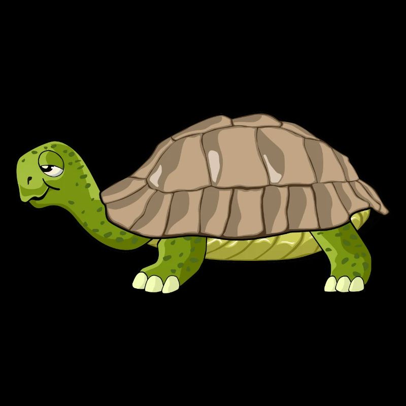 Schildkröte Zeichnung