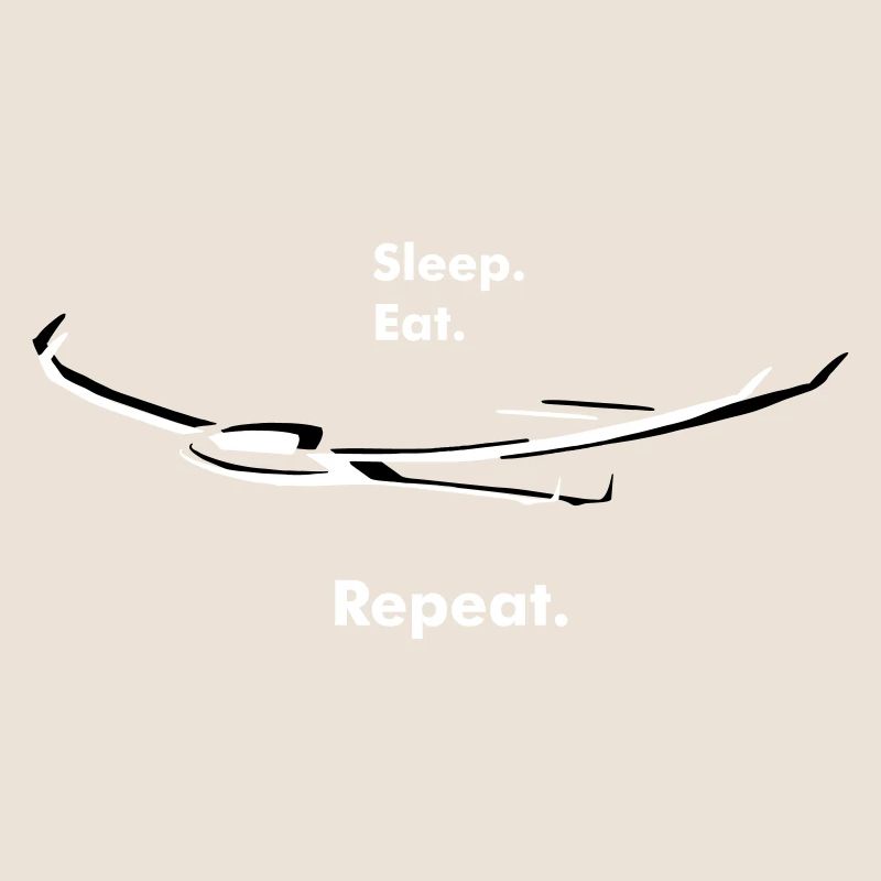 Glider Glider Glider Pilot Pilot