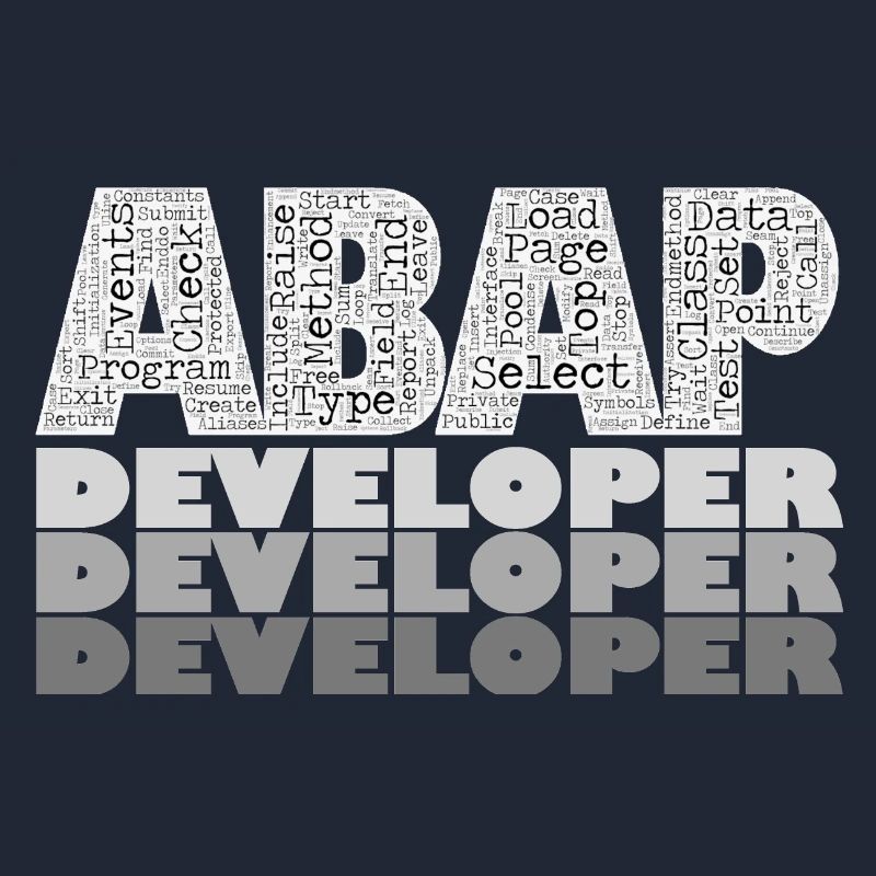 ABAP Developer