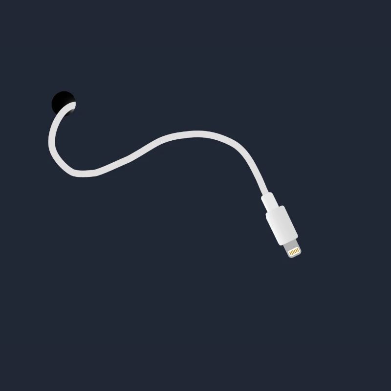 iPhone câble