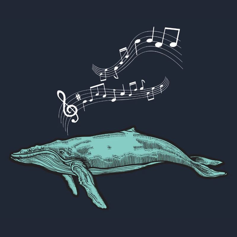 baleines mer poisson eau mer mer cachalot