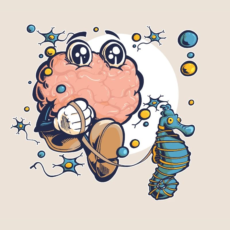 Brain & Hippocampus