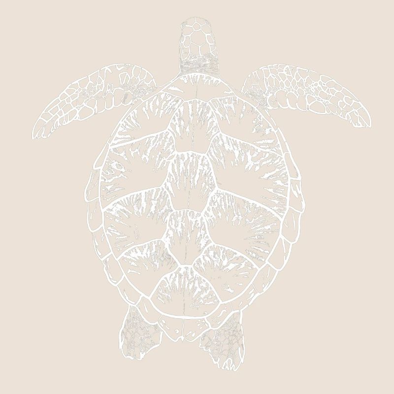 Turtle white2