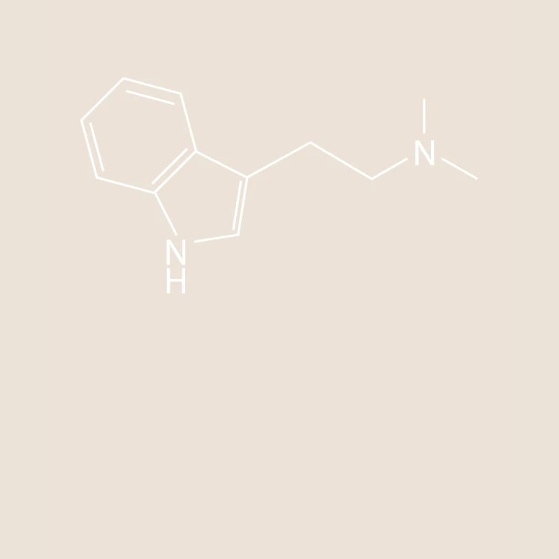 Molécule DMT Ayahuasca Dimethyltryptamine