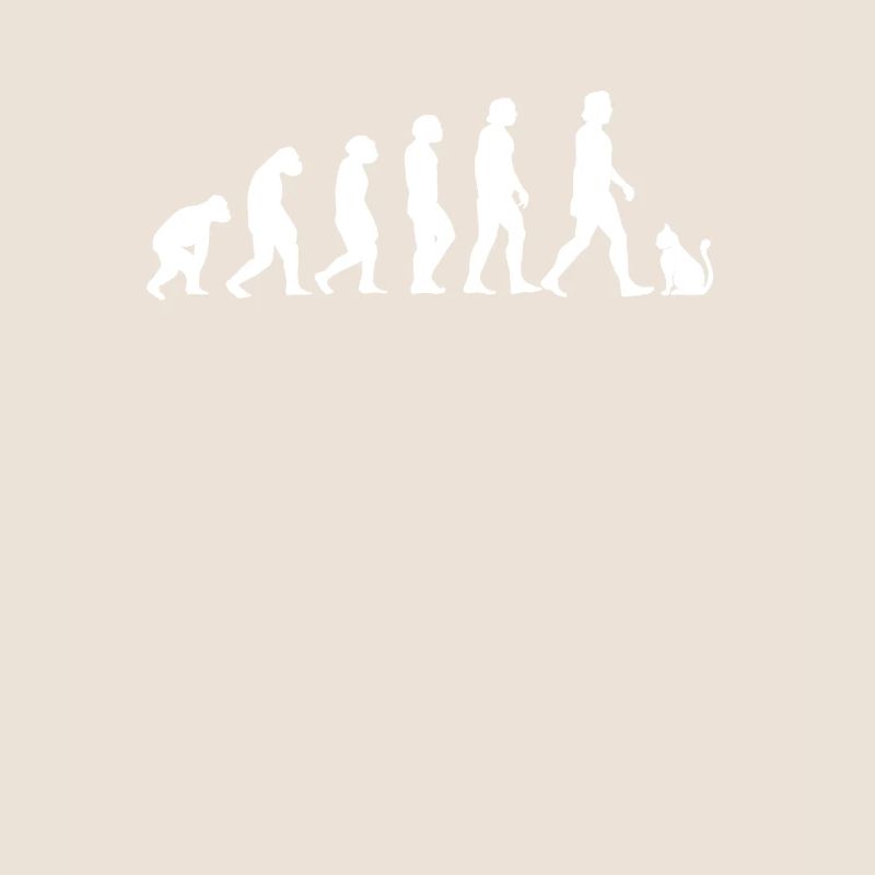 Katzen Evolution