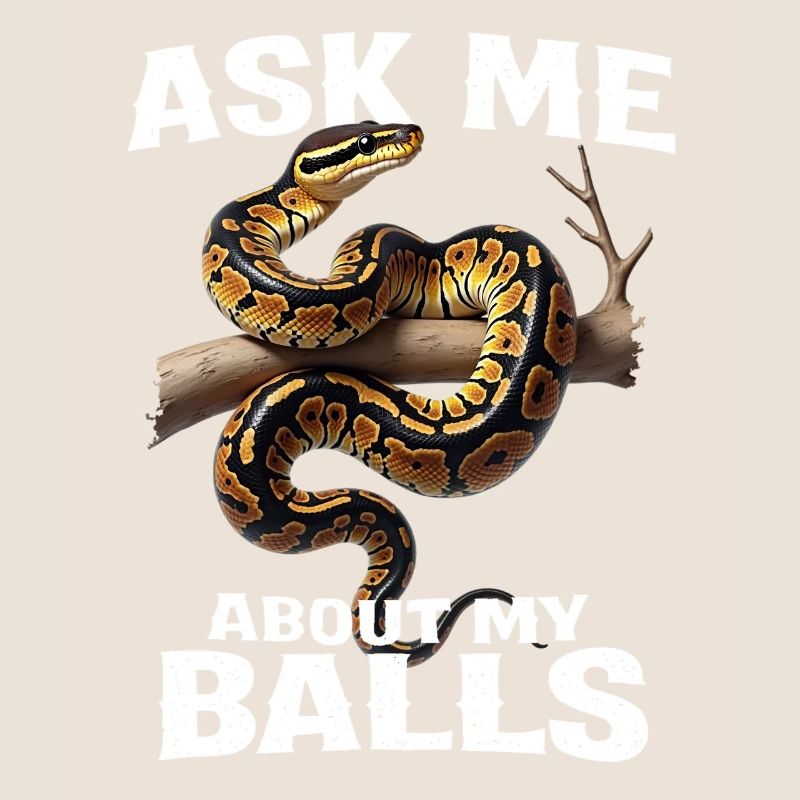 Python roi Serpents Amateurs de terrarium Python