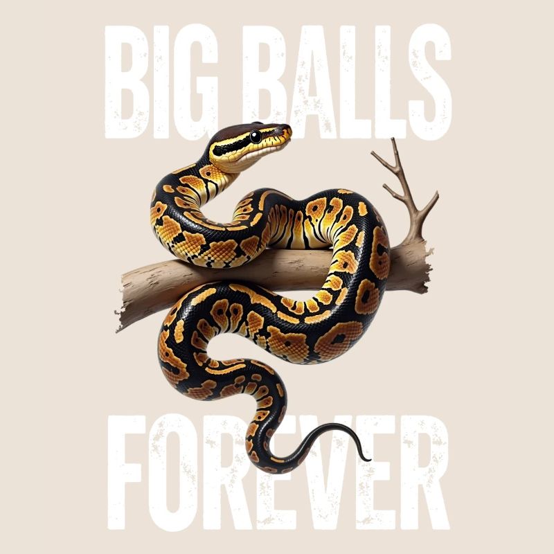 Python roi Serpents Amateurs de terrarium Python