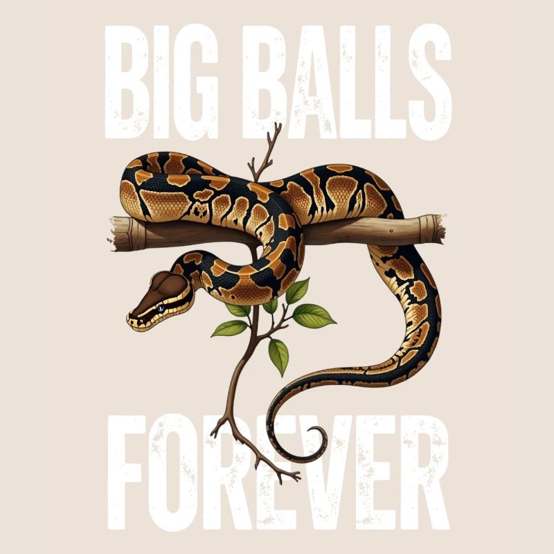 Königspython Schlangen Liebhaber Terrarium Python