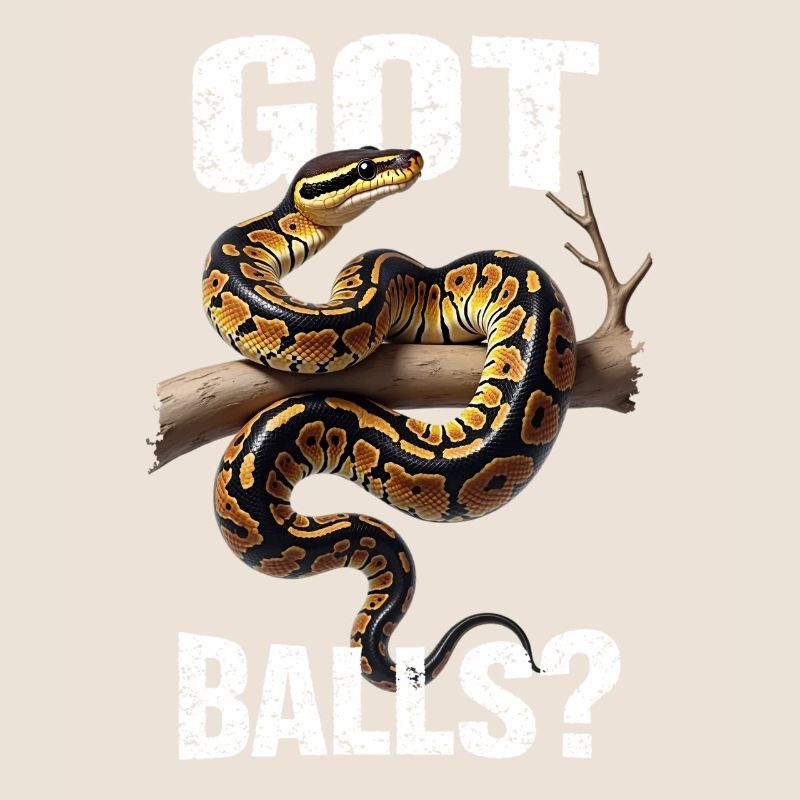 Python roi Serpents Amateurs de terrarium Python