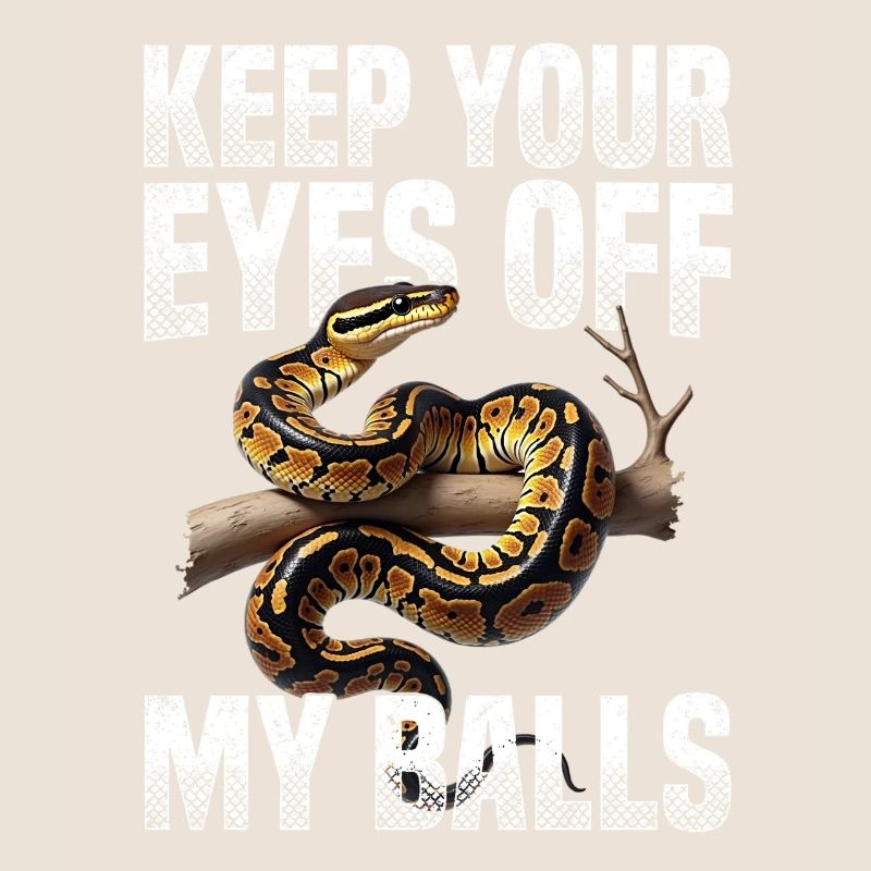 Python roi Serpents Amateurs de terrarium Python