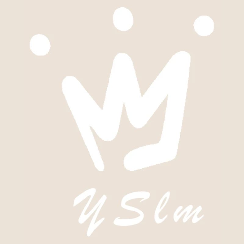 Logo YSlm Blanc