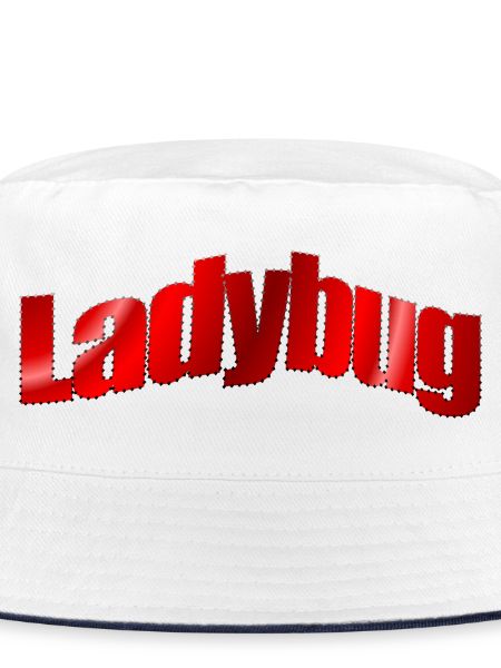 Dezentes Logo Ladybug 