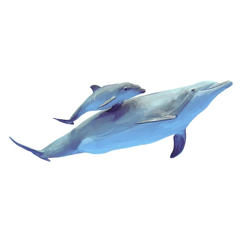 Delfin