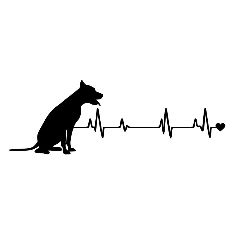 Chien