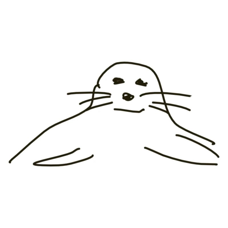 phoques phoques phoques animaux