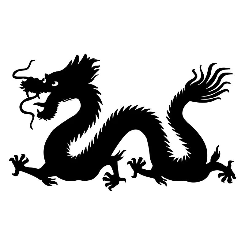Image d’ombre de dragon année du dragon