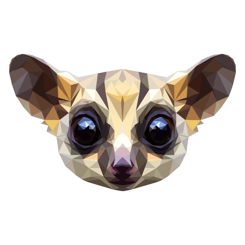 Galago Buisson Bébé Singe Galagos Singe Mignon Galago