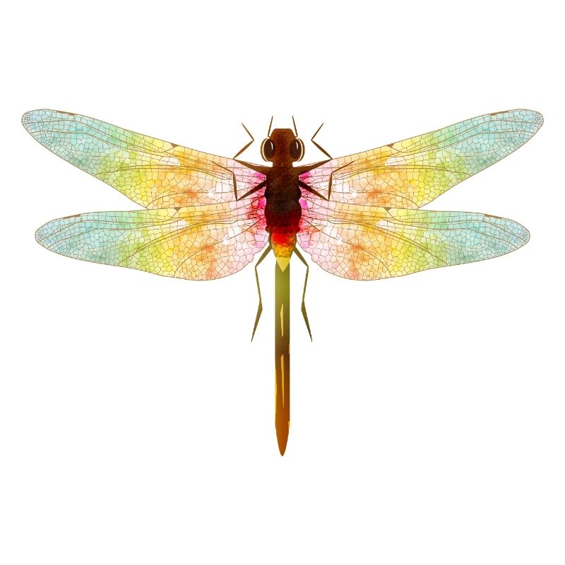 Libellule irisée – motif insecte en filigrane