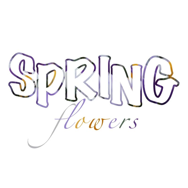Couleurs des crocus des fleurs de printemps