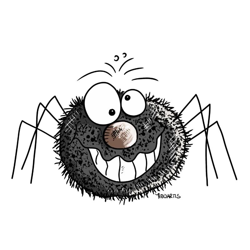 Funny spider