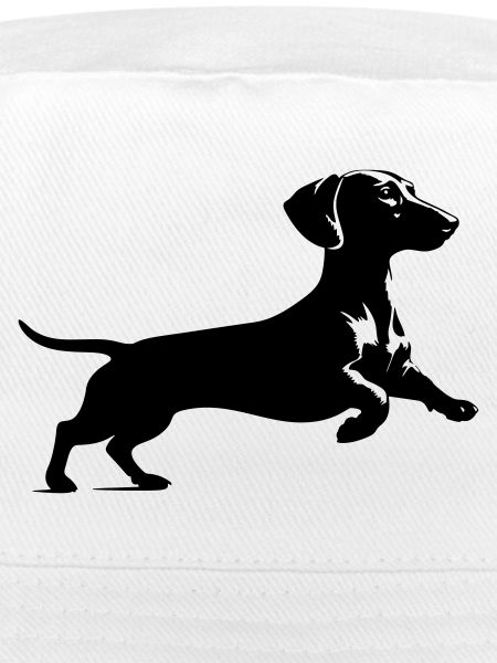 Dachshund