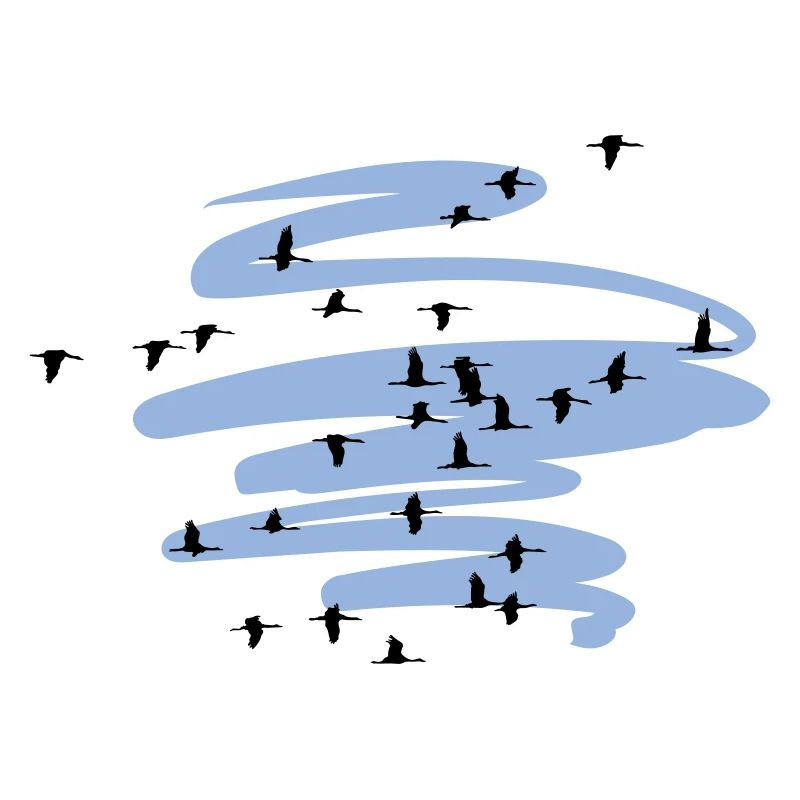 Wild Geese Cranes Spring