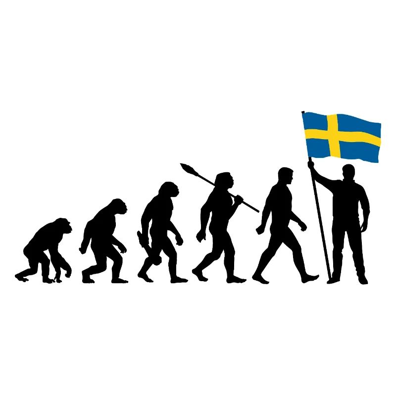 Suède - Evolution - Drapeau - Nation