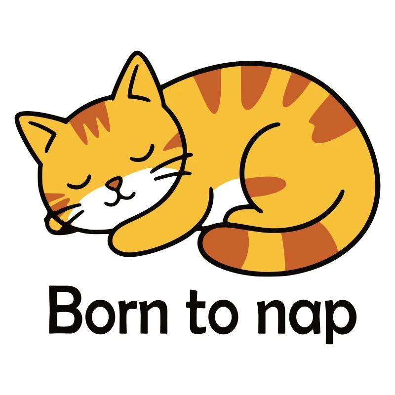 Conception du sommeil du chat né pour la sieste