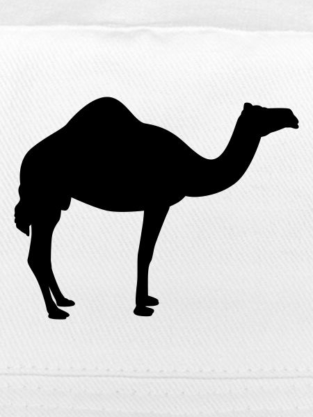 Kamel