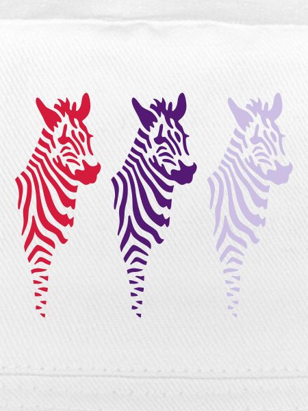 three zebras (b)
