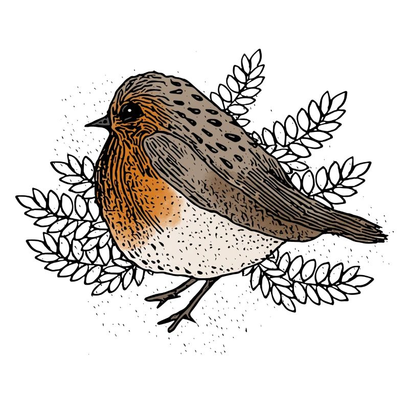 Robins on Branches