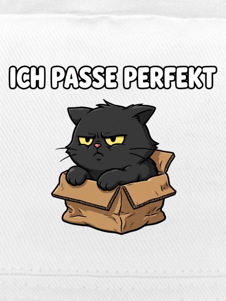 Grimmige Katze im Karton