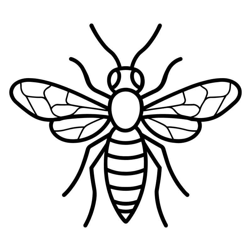 wasp