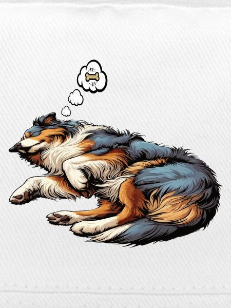 Australian Shepherd Aussie Aussiebesitzer Aussies