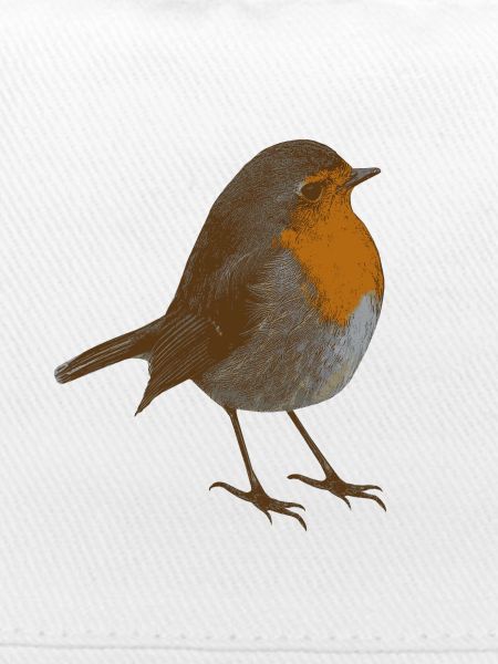 Rotkehlchen Porträt, Vogelkunst