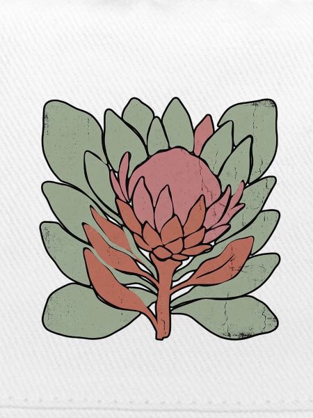 Protea in Schichten