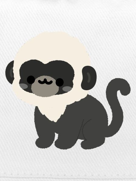 Douc Langur Affe